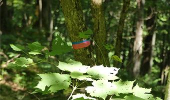 Tbd Old Mountain Road, Banner Elk, NC 28604
