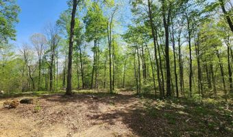 Lots 4 5 6 New Pointe Rd, Albany, KY 42602