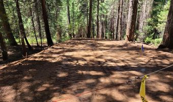 829 Honey Ct, Arnold, CA 95223