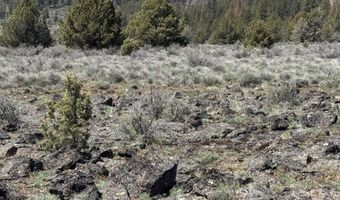 Oregon Pines Road TL 1200, Beatty, OR 97621