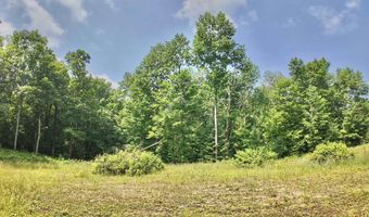 3 38 Acres County F Rd, Antigo, WI 54409