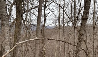 Toole Creek Road, Abingdon, VA 24210