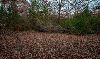 Tract 1 Acme RD, Asher, OK 74826