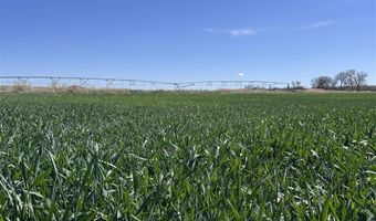 2834 Lane 42, Basin, WY 82410