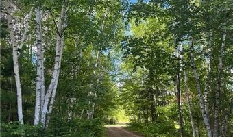 49382 Pansy Landing Rd, Arna Twp., MN 55072