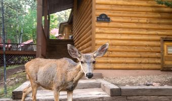 10 Woodlands Dr W, Angel Fire, NM 87710