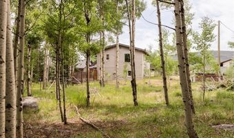 133 GOLD RUN Rd, Alma, CO 80440