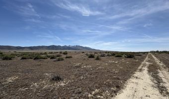 006-066 01 Star Peak Rd, Imlay, NV 89418