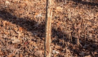 3968 Highway 167, Ash Flat, AR 72513