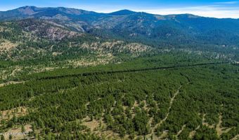 Nka Rogstad Powerline Rd, Blanchard, ID 83804