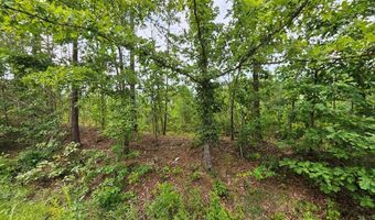 671 Penlan Rd Lot 1, Arvonia, VA 23004