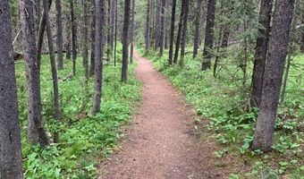 58 Upper Moose Hill Rd, Big Sky, MT 59716