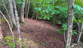 724 Streamside Dr, Arden, NC 28704