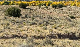 DUANE Street, Abiquiu, NM 87510