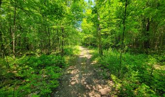 21 Nickerson Rd, Brandon, VT 05733