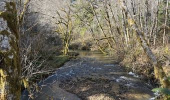 Steer Creek Rd, Blodgett, OR 97326