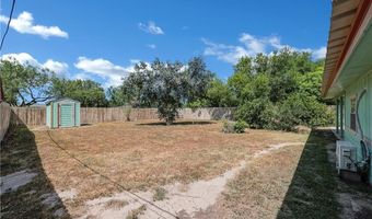 724 E Ellis Ave, Alamo, TX 78516