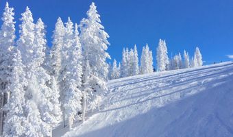 39 BOOMERANG Rd 8411-17, Aspen, CO 81611