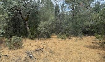 17300 Fuzzy Ln, Anderson, CA 96007