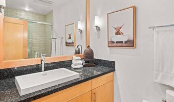 625 S WEST END St 8, Aspen, CO 81611