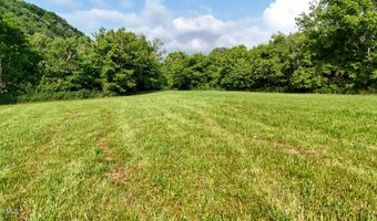 Canebrake Road, Abingdon, VA 24210