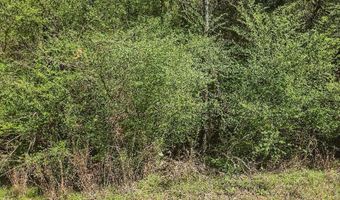 PIKE HILL ROAD lot 0, Ashville, AL 35953