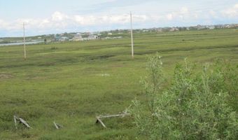 193 Blackberry St, Bethel, AK 99559