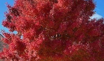 7916 Apalachee Dr, Indianapolis, IN 46217