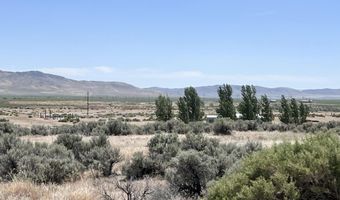 08-0594 03 Taylor St Button Pt 3, Golconda, NV 89414