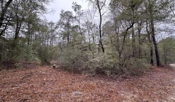 Ethridge Drive, Andrews, SC 29510