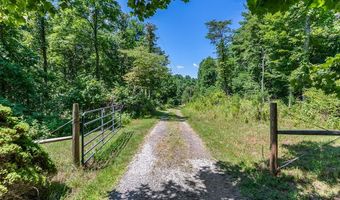 309 Timber Rd, Barren Springs, VA 24313