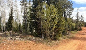 646 W Ski View Dr, Brian Head, UT 84719