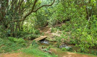 HAUIKI RD, Kapaa, HI 96746