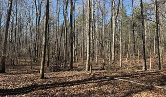 Cr 127, Abbeville, MS 38601