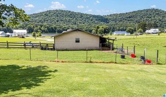 10370 GREENSPORT Rd, Ashville, AL 35953