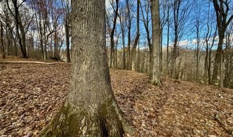 1520 Brittontown Rd, Afton, TN 37616