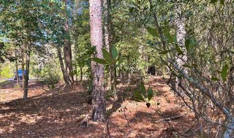 Lot 3 OCEANVIEW COURT, Accomac, VA 23301