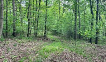 0 Oliver Lipscomb, Aurora, WV 26705