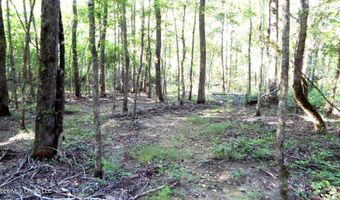 330 County Road 245, Abbeville, MS 38601
