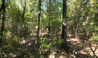 7 N Hall Rd, Antlers, OK 74523