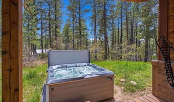 14 Pine Cone Dr, Bayfield, CO 81122