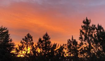 1438 Topaz Ln, Gardnerville, NV 89460