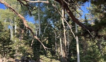 Ponderosa West Village, Beaver, UT 84713