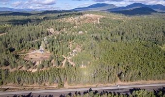 Nka Grand Fir, Athol, ID 83801