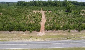 Attadale Rd lot 2, Blenheim, SC 29516