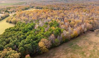 257 W Chapman Rd, Belton, SC 29627