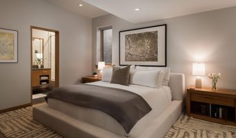 1006 E Cooper Ave, Aspen, CO 81611