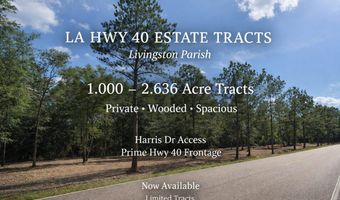 Tbd La Hwy 40 lot A, Albany, LA 70443