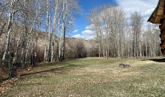 4585 Garden Creek Rd, Challis, ID 83226