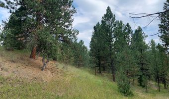 3064 Camp 4 Rd, Darby, MT 59829